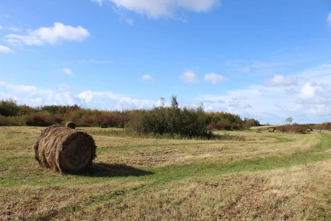 Grindweg 4C Βίλα Westkapelle Εξωτερικό φωτογραφία